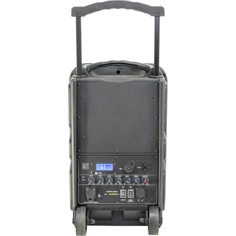 BST IPS10 "All-weather" - Festival Højttaler (250W)