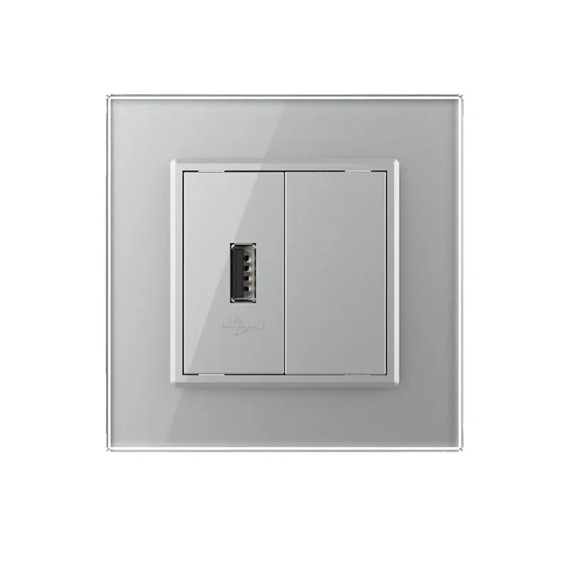 Livolo | Harmaa | SR | Yksi USB -laturi