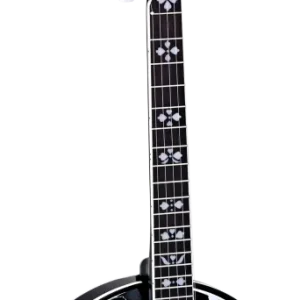 5-kielinen banjo, Raven -sarja