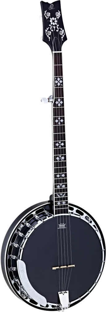 5-kielinen banjo, Raven -sarja