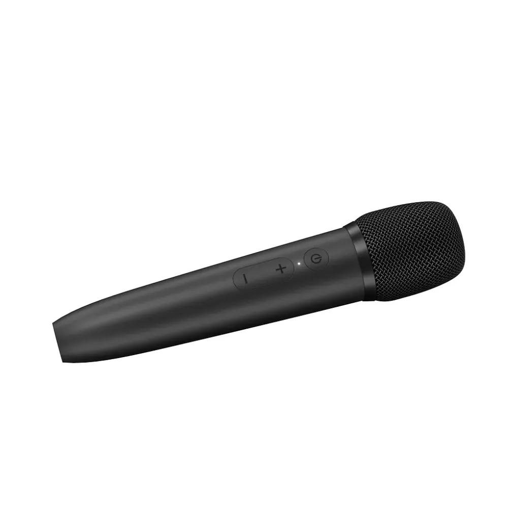 ProCaster Upbeat karaokekaiutin kahdella mikrofonilla