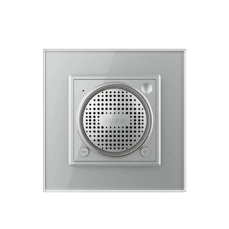Livolo | Harmaa | SR | Bluetooth -kaiutin