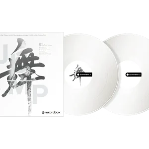RB-VD2-W Rekordbox control vinyl (sarja 2) (valkoinen)