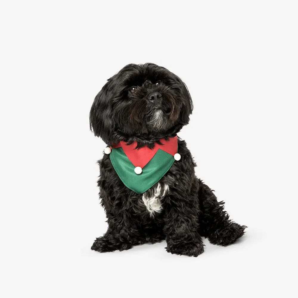 Joulu lemmikkieläinten bandana