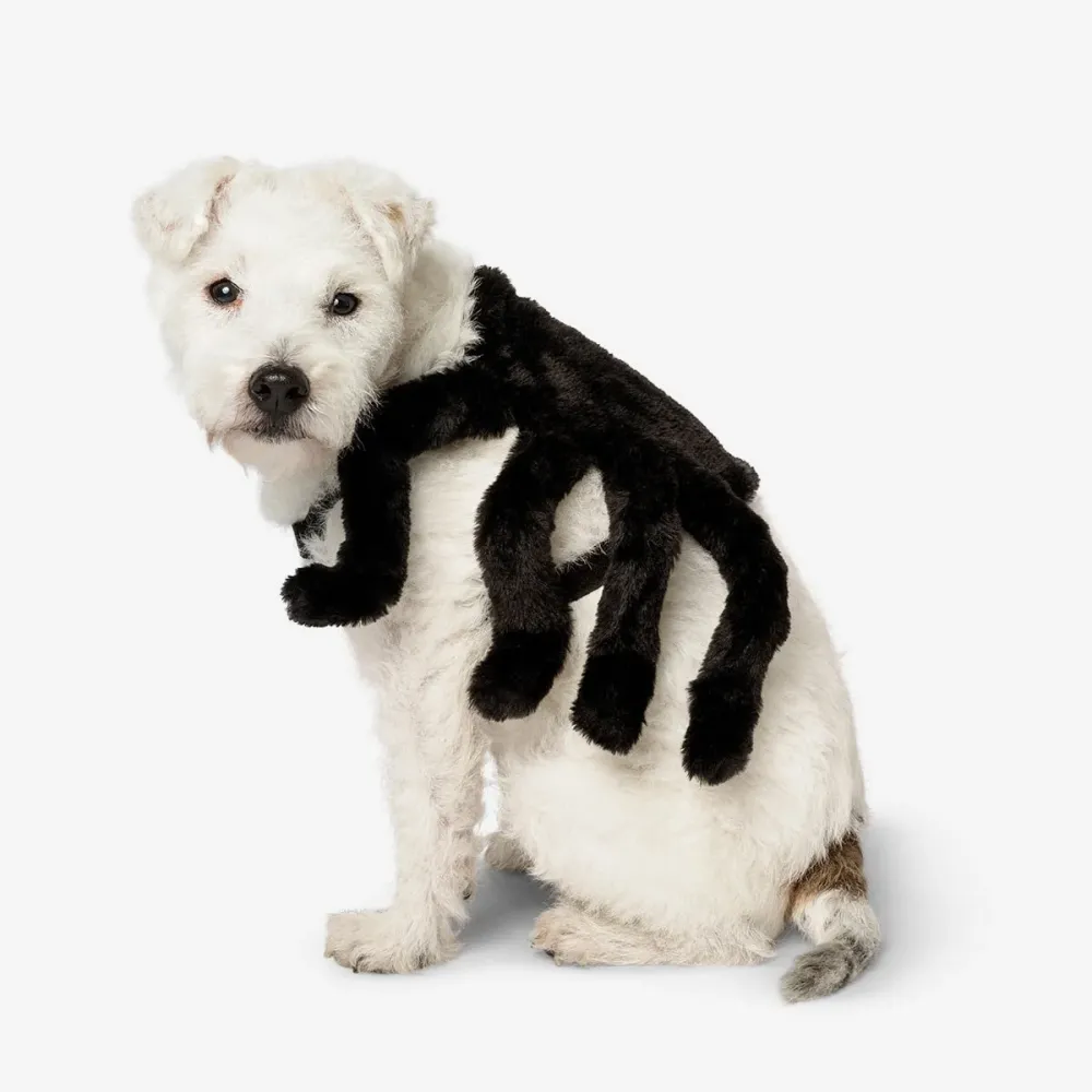 Puku. Lemmikkieläimille