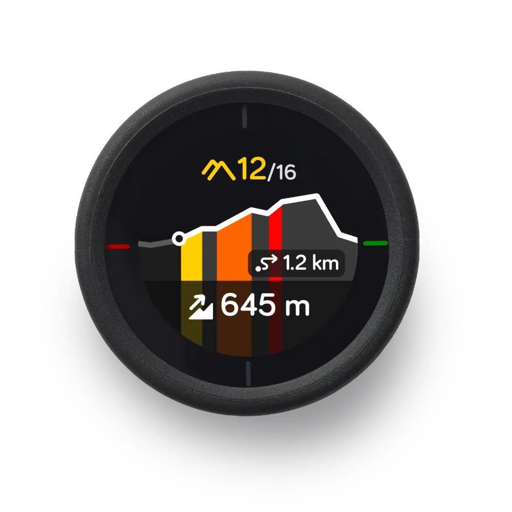 BEELINE VELO 2 GPS