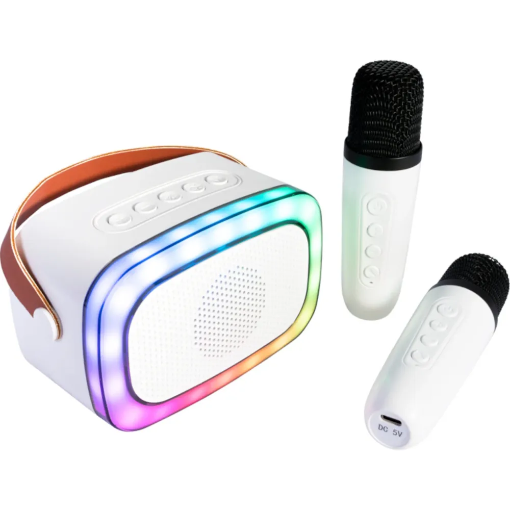 Ibiza Smart Karaoke Bluetooth Højtaler med 2 Trådløse Mikrofoner