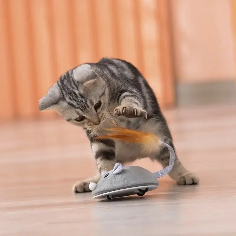 Tutustu uuteen Souricat™ kissoille