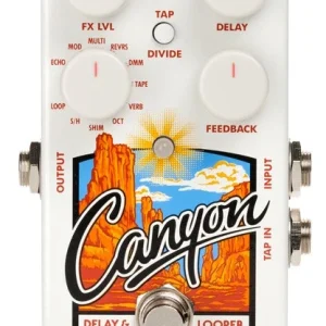 Electro Harmonix CANYON delay-looper