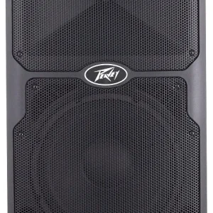 Peavey PVX-15