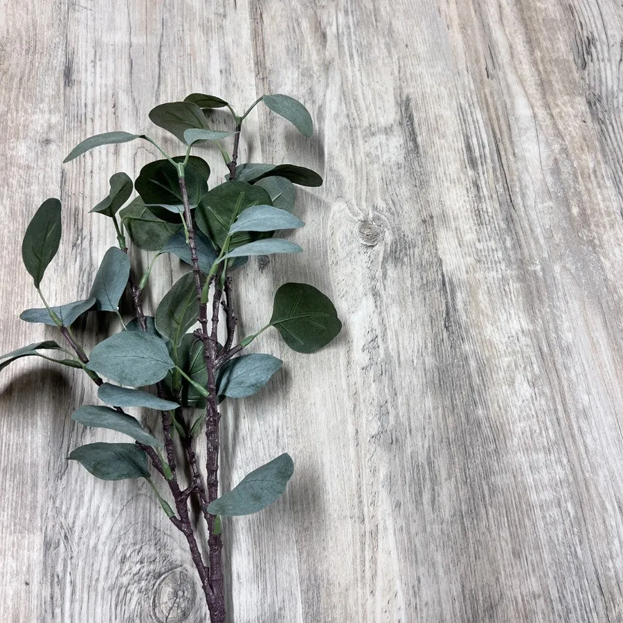 Vinyylilankku SPC+EVA Natur Sviby 1718SE 2,79m²