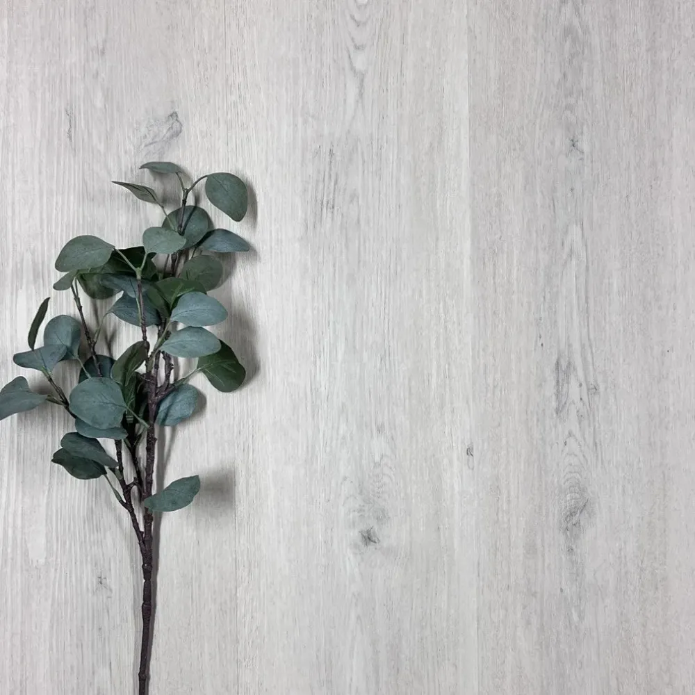 Vinyylilankku SPC+EVA Trendig Oak 5619SE 2,79 m²
