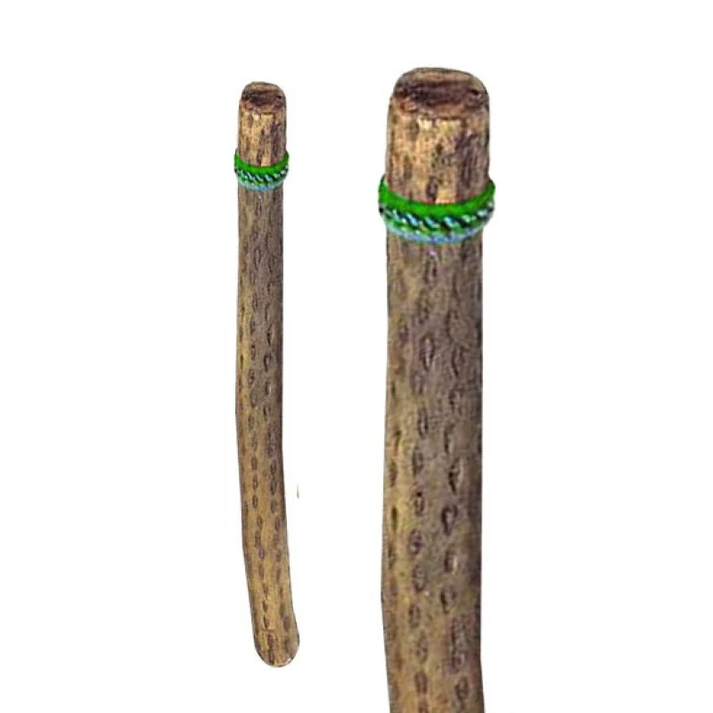Sadeputki 50 cm