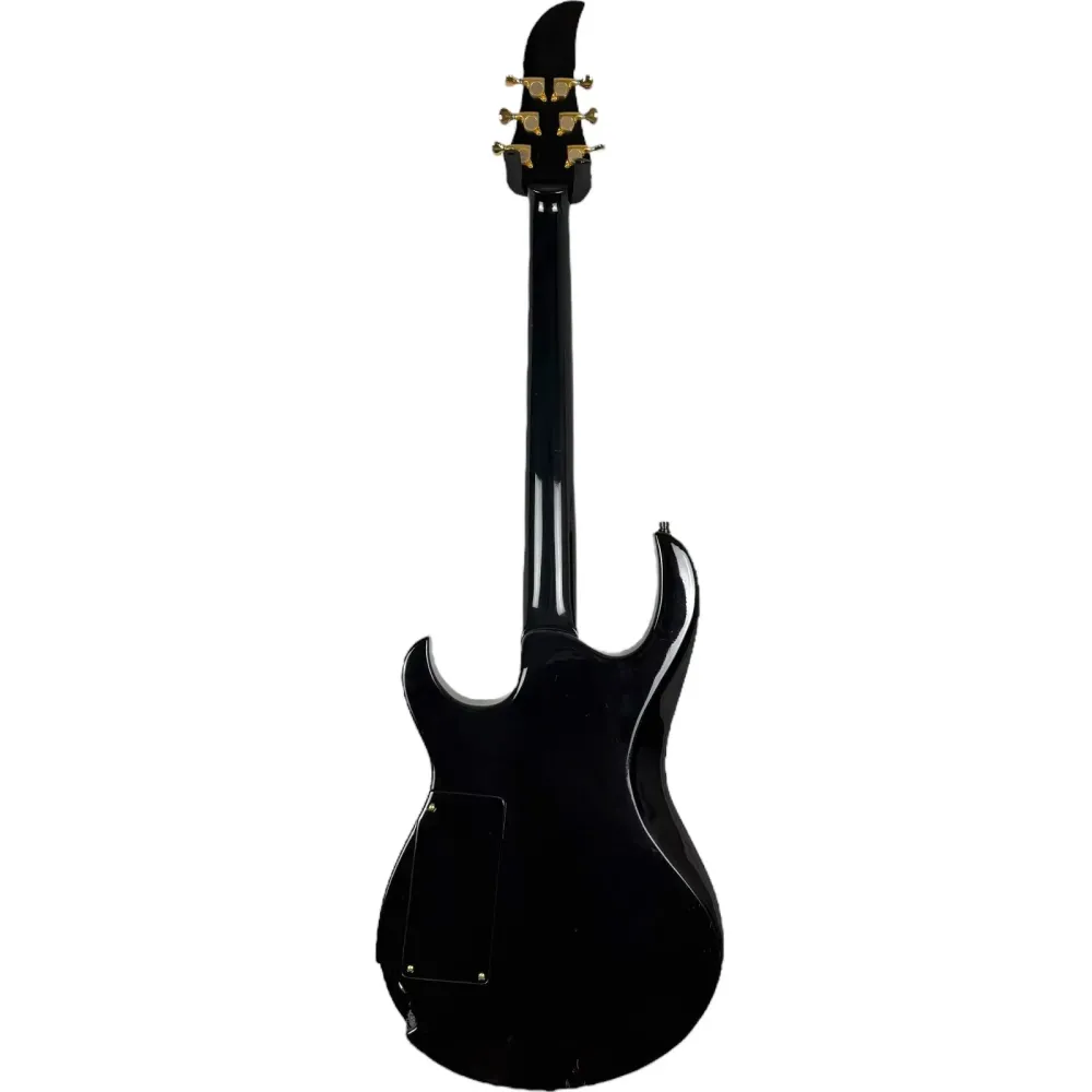 ERG Steelhammer - Israel Custom Shop Kitara - Korkeakiiltoinen