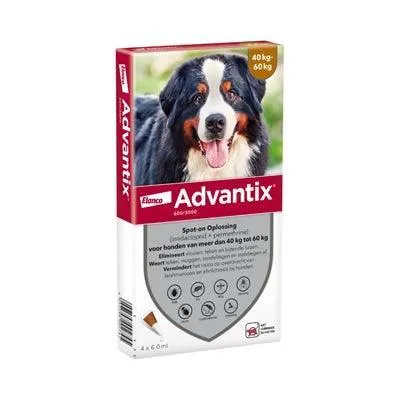 Bayer Advantix täpläliuos >40 kg – Nopea suoja kirppuja, punkkeja ja purevia hyönteisiä vastaan (4 pipettiä)