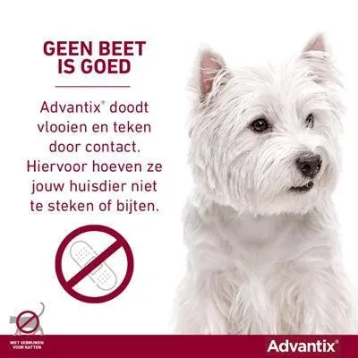 Bayer Advantix täpläliuos >40 kg – Nopea suoja kirppuja, punkkeja ja purevia hyönteisiä vastaan (4 pipettiä)