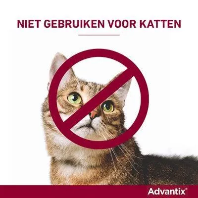 Bayer Advantix täpläliuos >40 kg – Nopea suoja kirppuja, punkkeja ja purevia hyönteisiä vastaan (4 pipettiä)