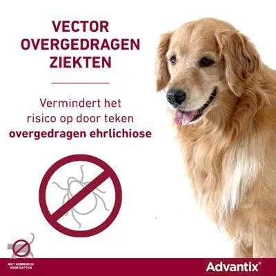Bayer Advantix täpläliuos >40 kg – Nopea suoja kirppuja, punkkeja ja purevia hyönteisiä vastaan (4 pipettiä)