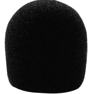 WS10 WINDSCREEN